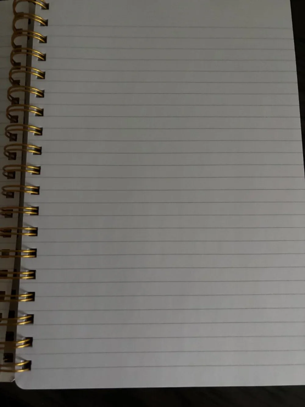 Lined Journal/Notebook NWT